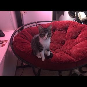 Meet your Posher, Pam